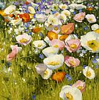 Sunny Paintings - Sunny Meadow by Shirley Novak
